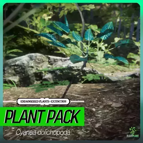 Extinct Plant - 4  Cyanea dolichopoda Tree