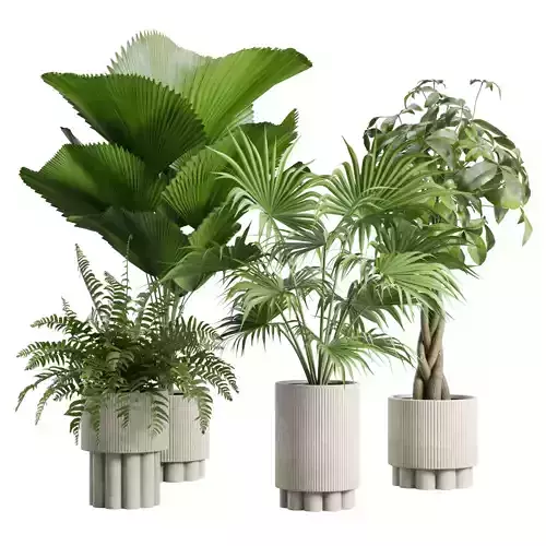 Indoor Plants Pack 85