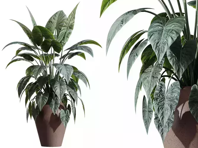 AV House Plants 3D model