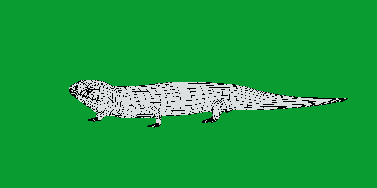 Tiger Salamander Low-poly 3D model_12