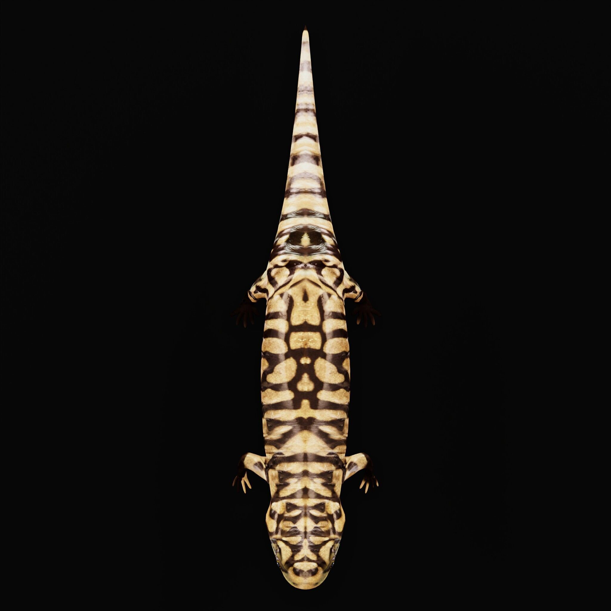 Tiger Salamander Low-poly 3D model_36