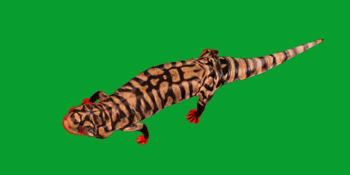 Tiger Salamander Low-poly 3D model_14