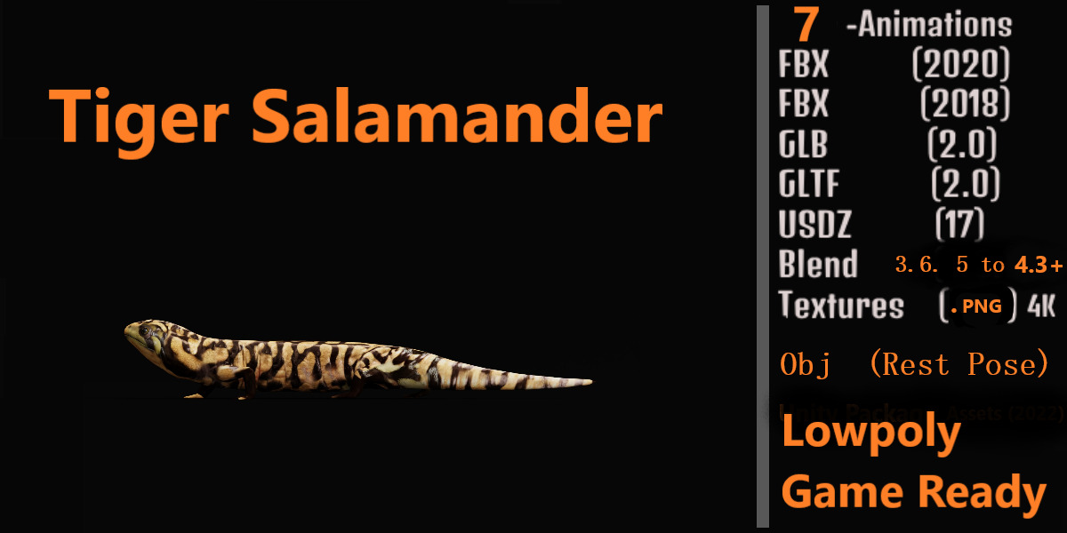 Tiger Salamander Low-poly 3D model_2