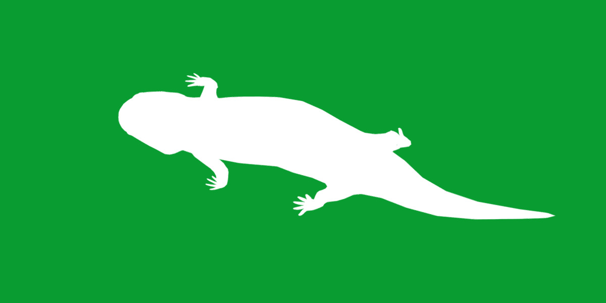 Tiger Salamander Low-poly 3D model_16