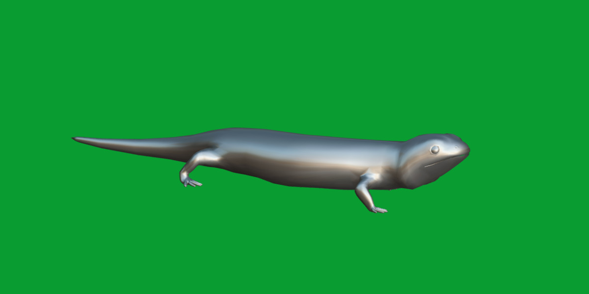 Tiger Salamander Low-poly 3D model_10