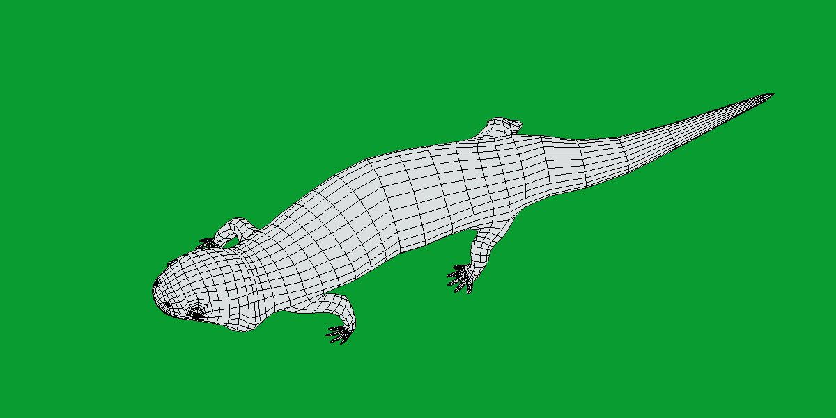 Tiger Salamander Low-poly 3D model_13