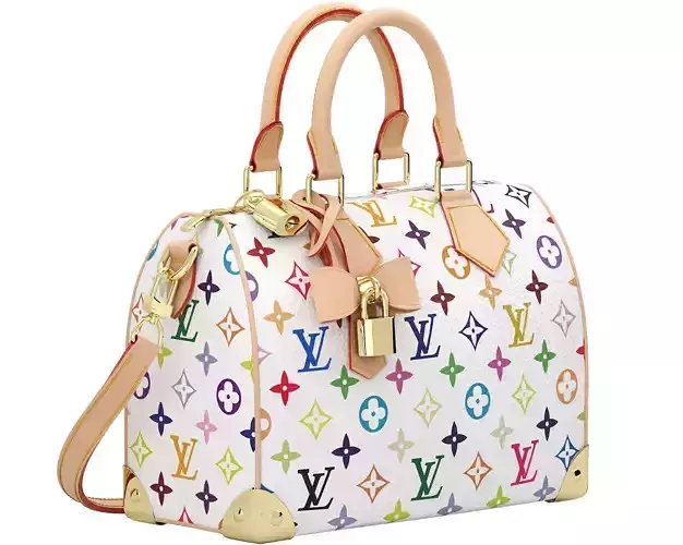 louis vuitton speedy 25 bag