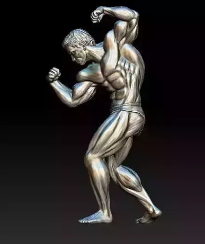 The statue of a Bodebuilder