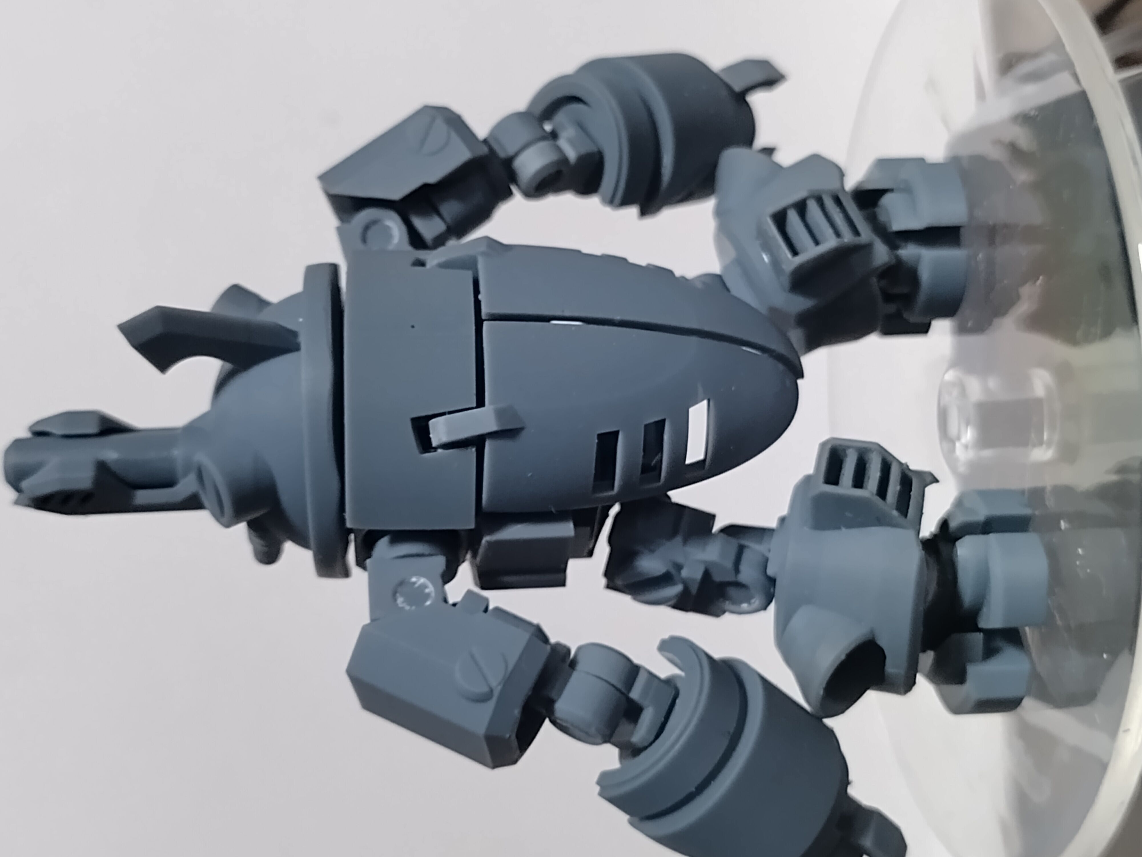 Bombeetle  3D print model_2