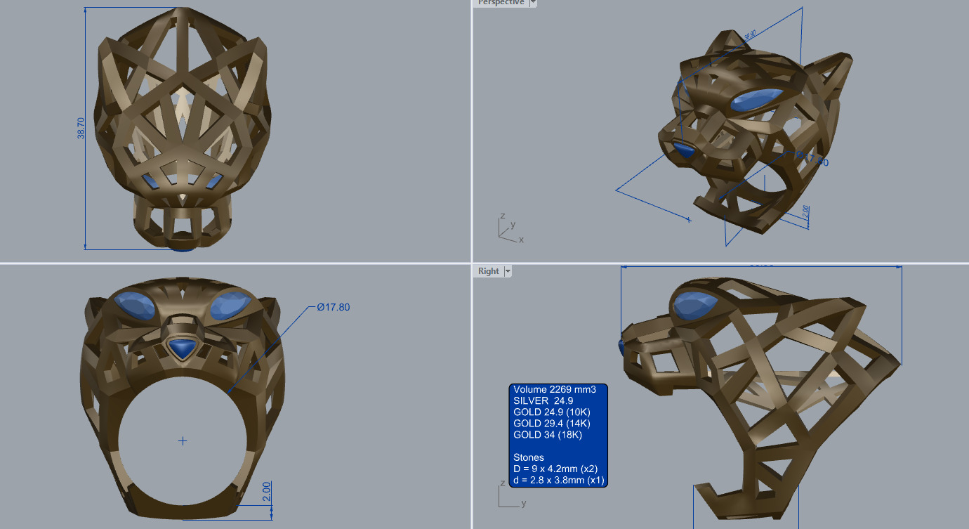 Ring head tiger 3D print model_13