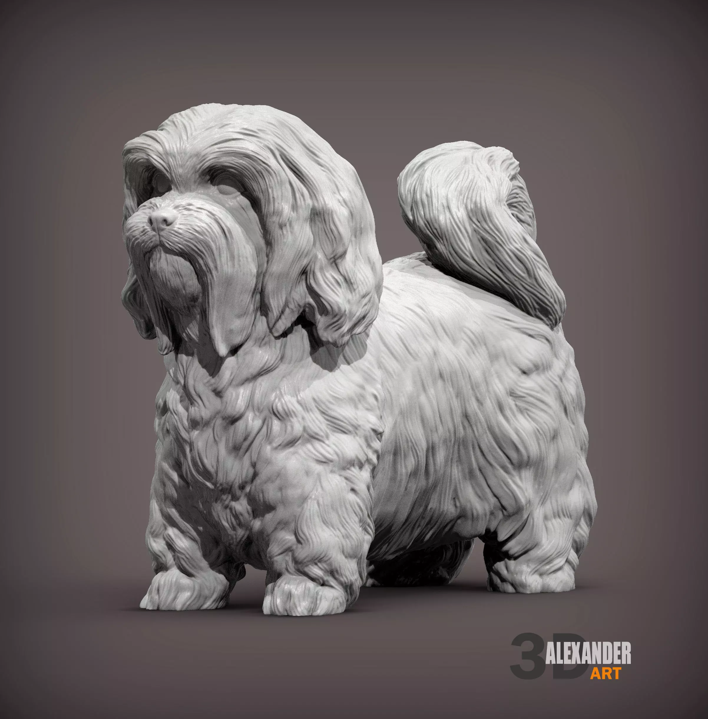 Havanese Dog 3D print model