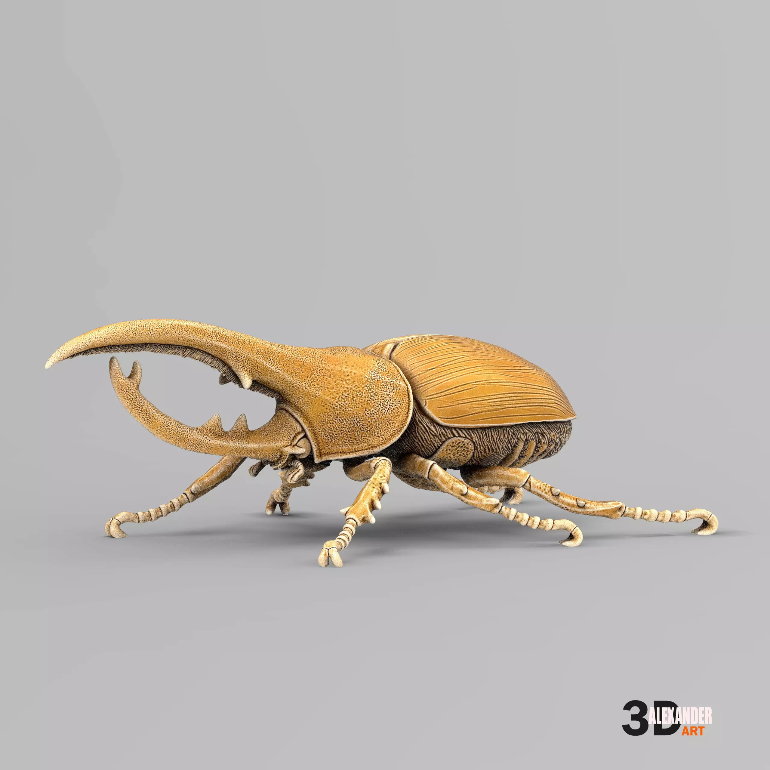 Hercules Beetle 3D print model