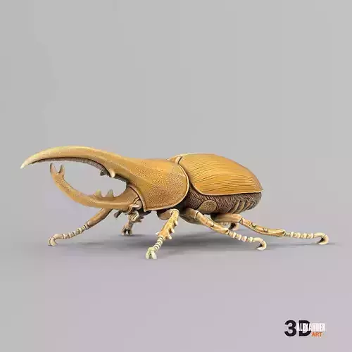 Hercules Beetle 3D print model