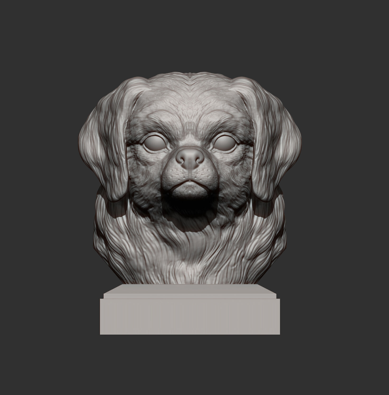 Tibetan Spaniel bust bust 3D print model_4