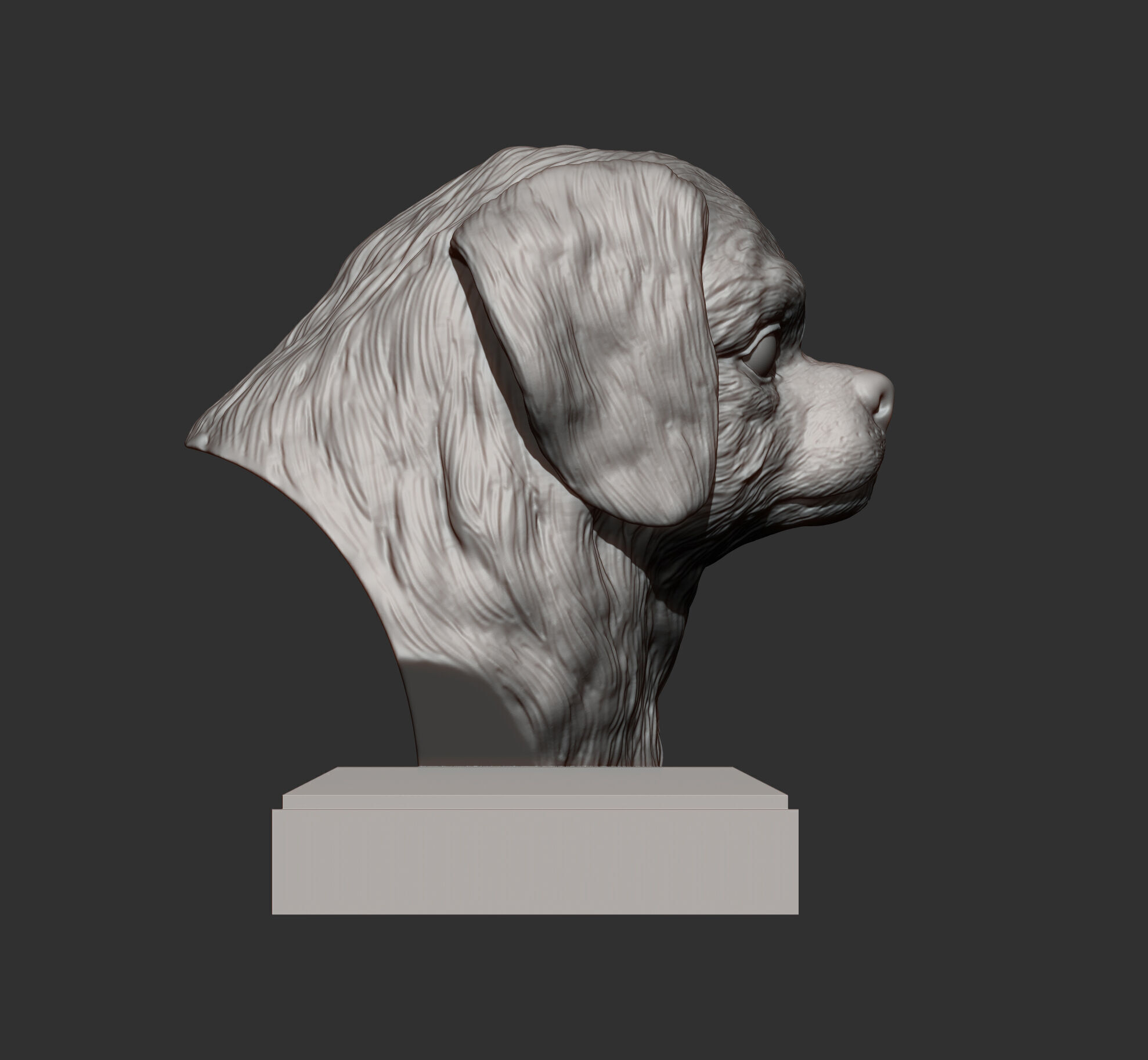 Tibetan Spaniel bust bust 3D print model_5