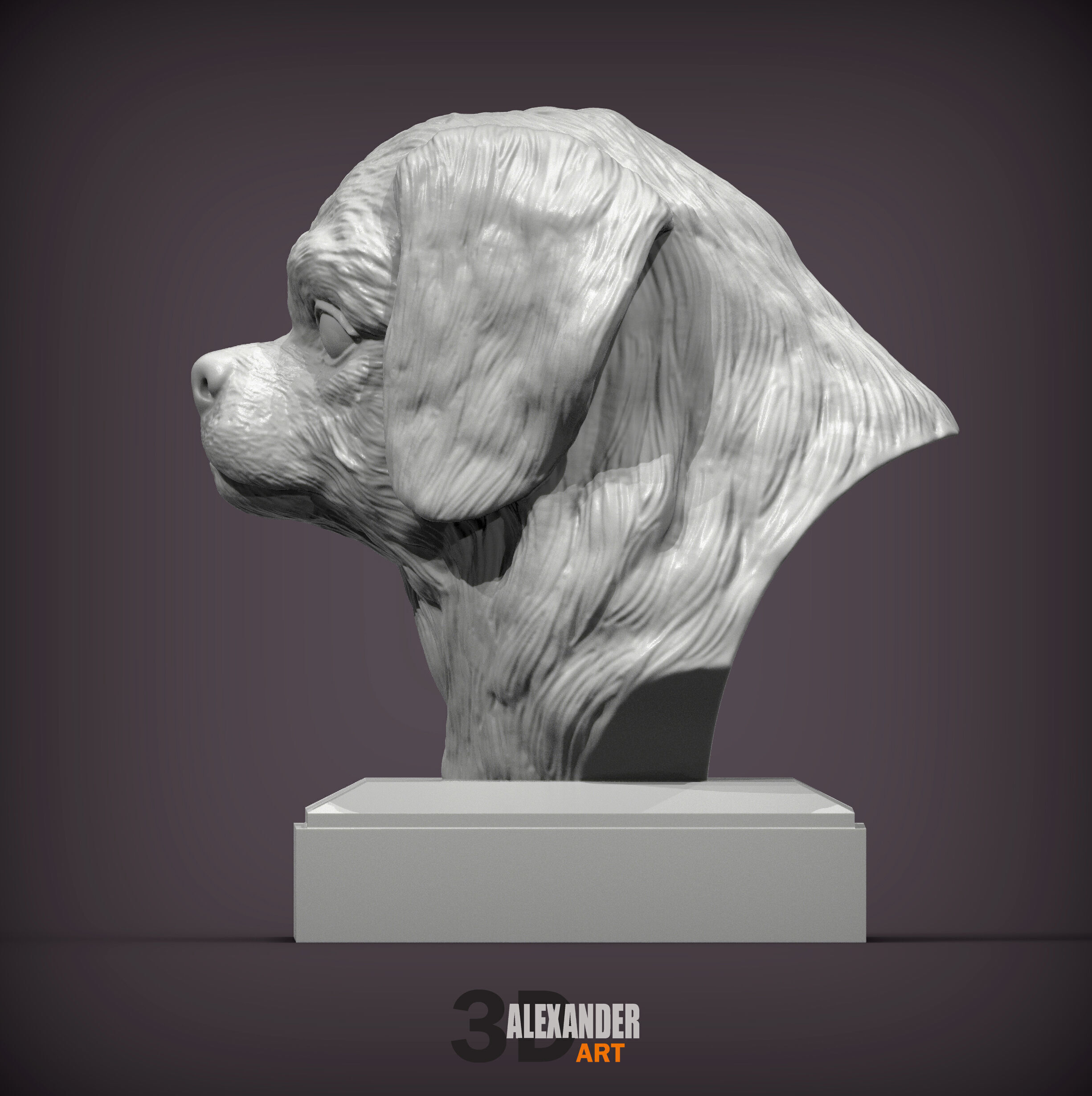 Tibetan Spaniel bust bust 3D print model_2
