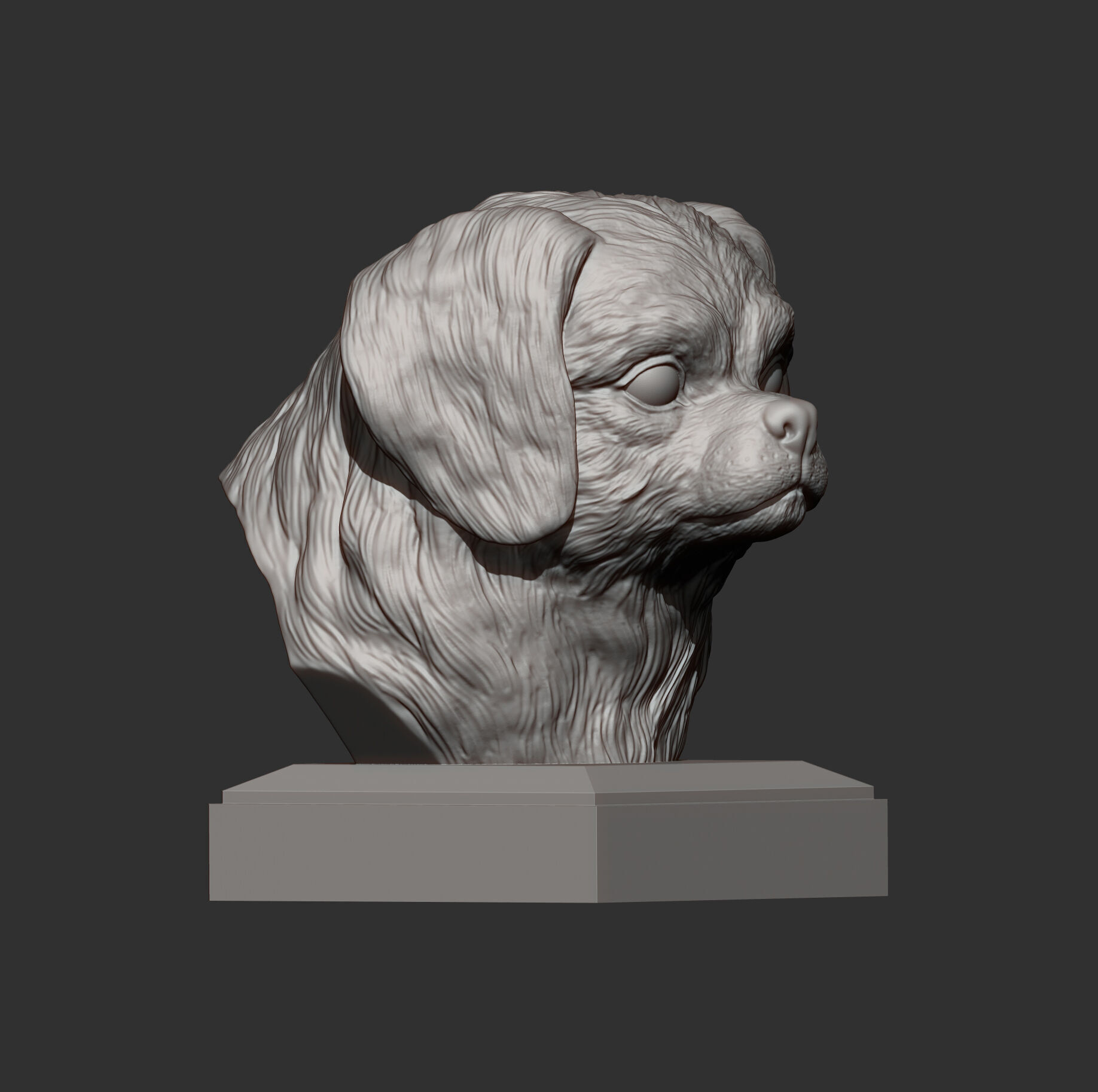 Tibetan Spaniel bust bust 3D print model_3