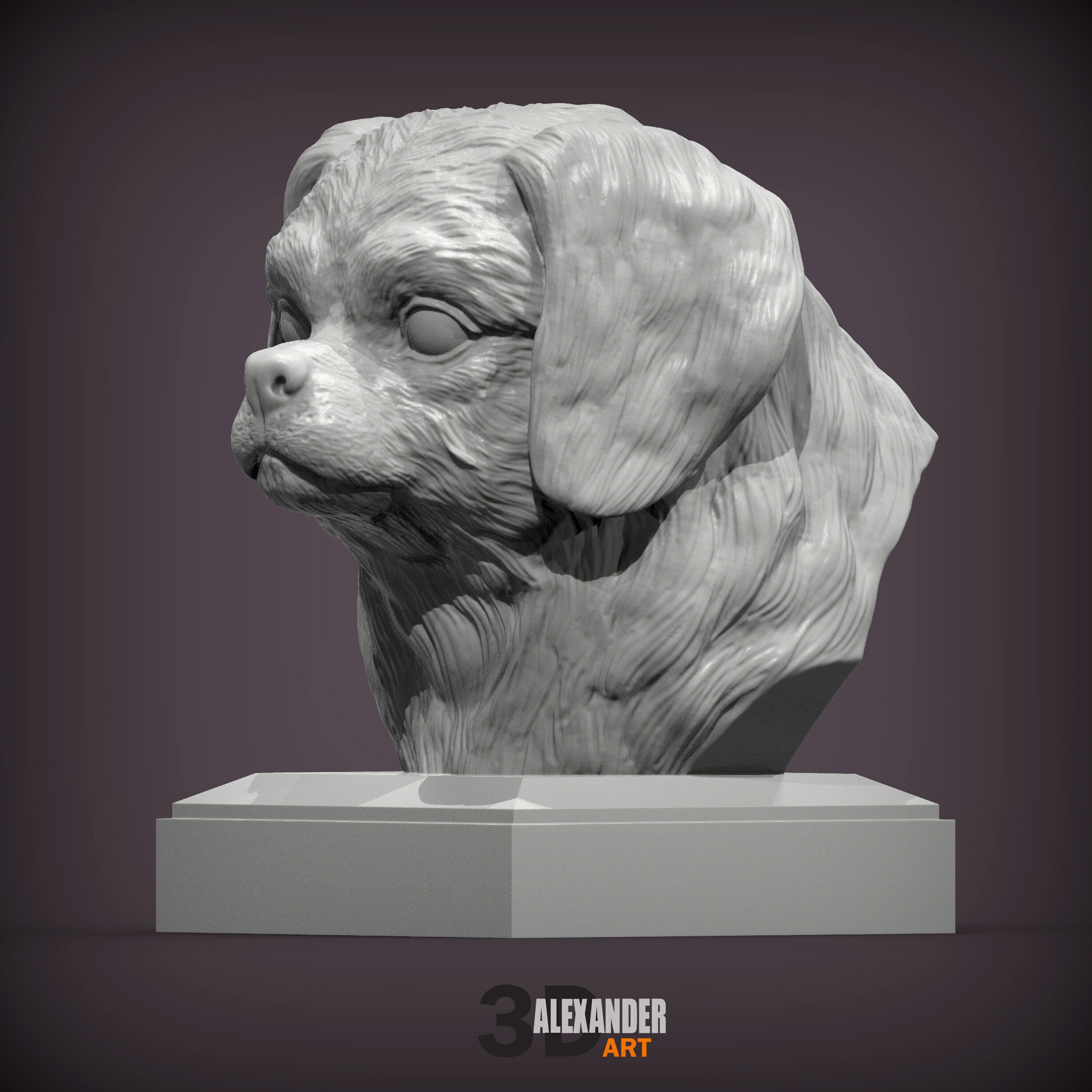 Tibetan Spaniel bust bust 3D print model_1