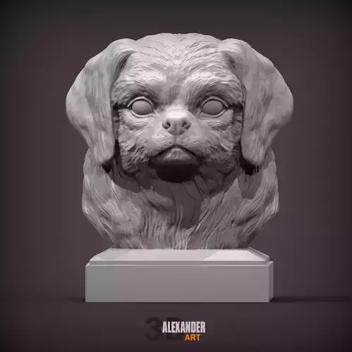 Tibetan Spaniel bust bust