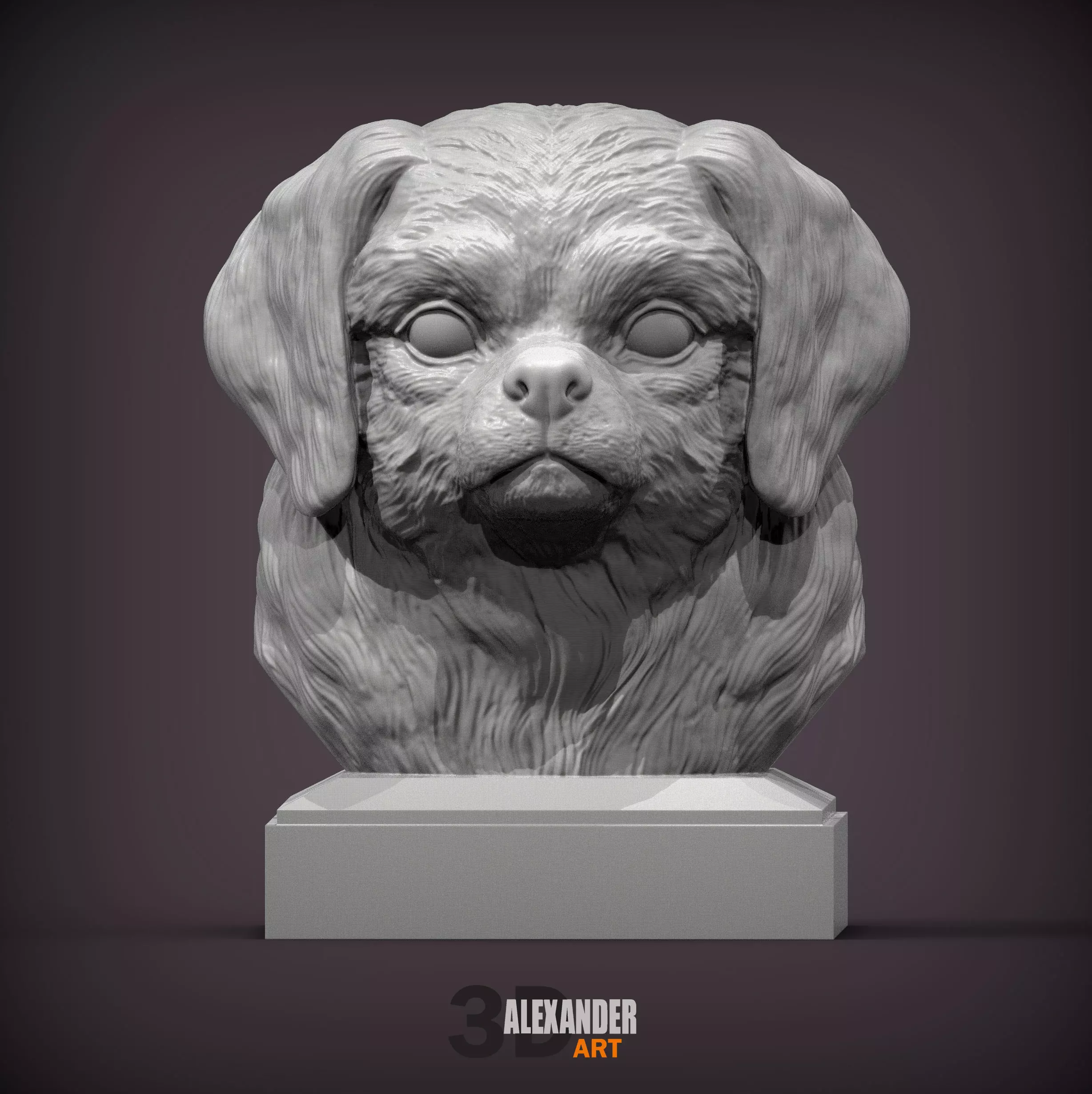 Tibetan Spaniel bust bust 3D print model_0
