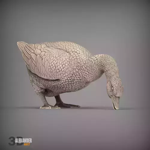 Goose is nibbling grass 3D print model