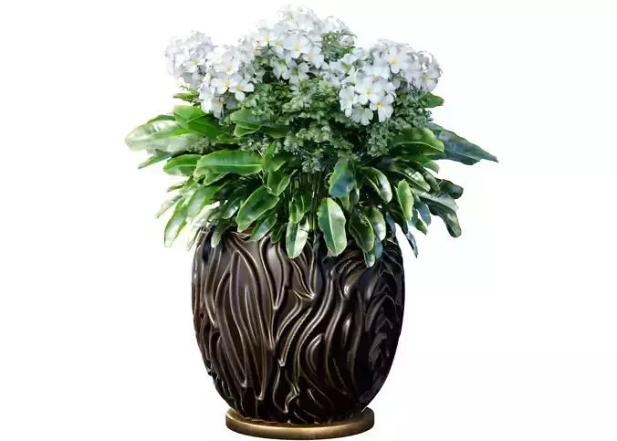 Ornamental plant flowerbed white flowers in modern designer vase