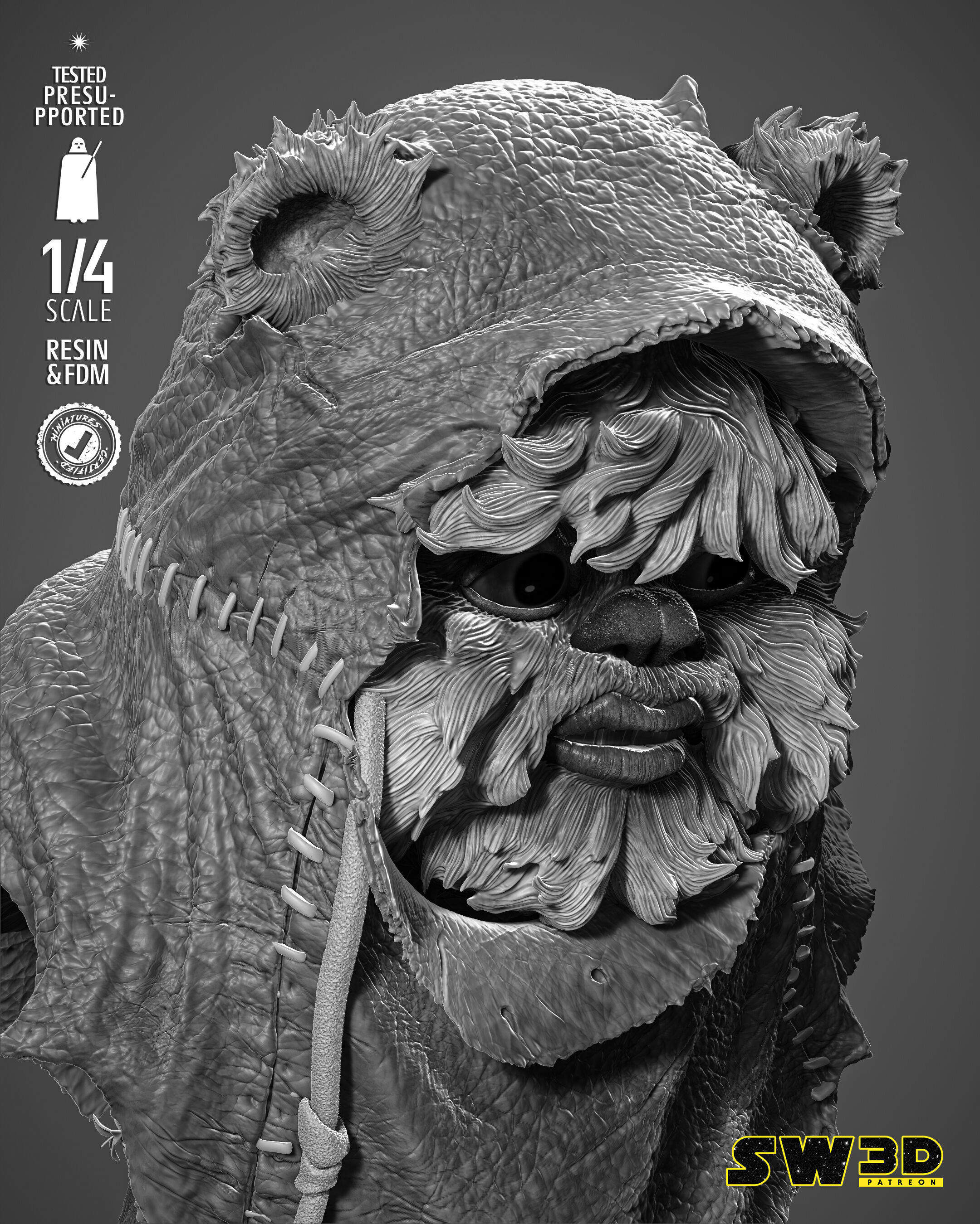 STAR WARS Ewoks Portrait Bust 3D print model_21