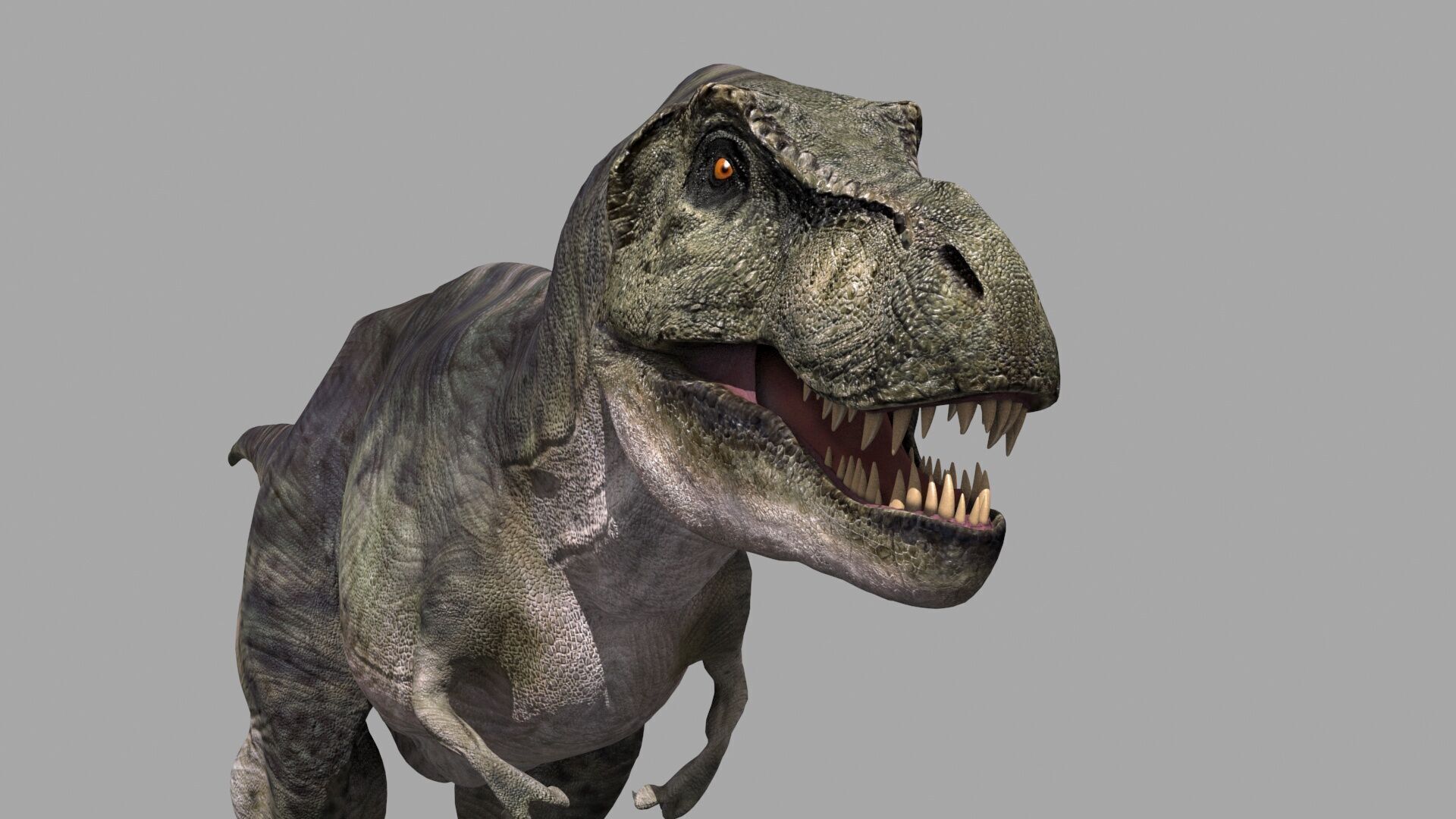 Accurate T Rex 8K - fully animated 3D model_12