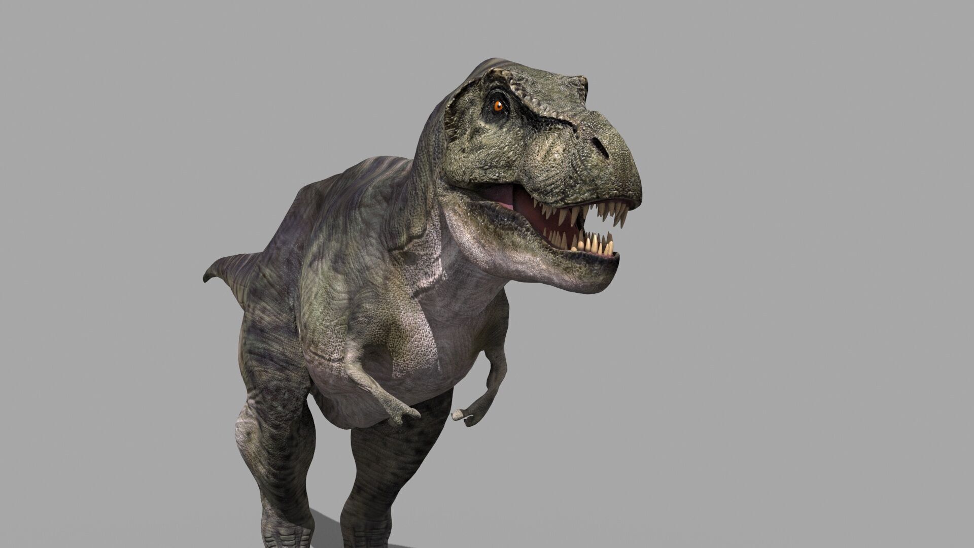 Accurate T Rex 8K - fully animated 3D model_11