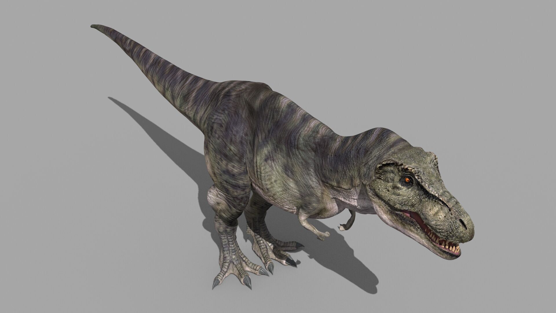 Accurate T Rex 8K - fully animated 3D model_10
