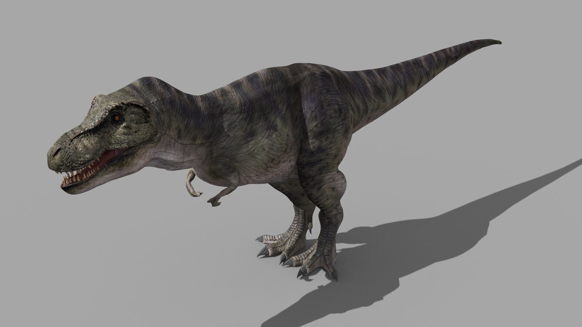 Accurate T Rex 8K - fully animated 3D model_9