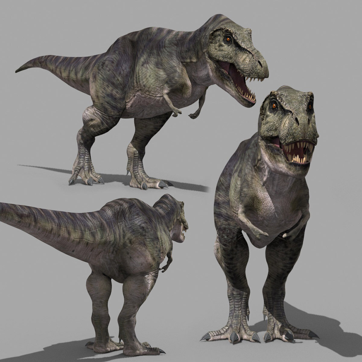 Accurate T Rex 8K - fully animated 3D model_7