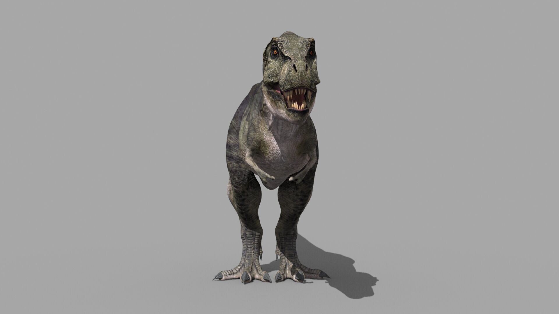 Accurate T Rex 8K - fully animated 3D model_22
