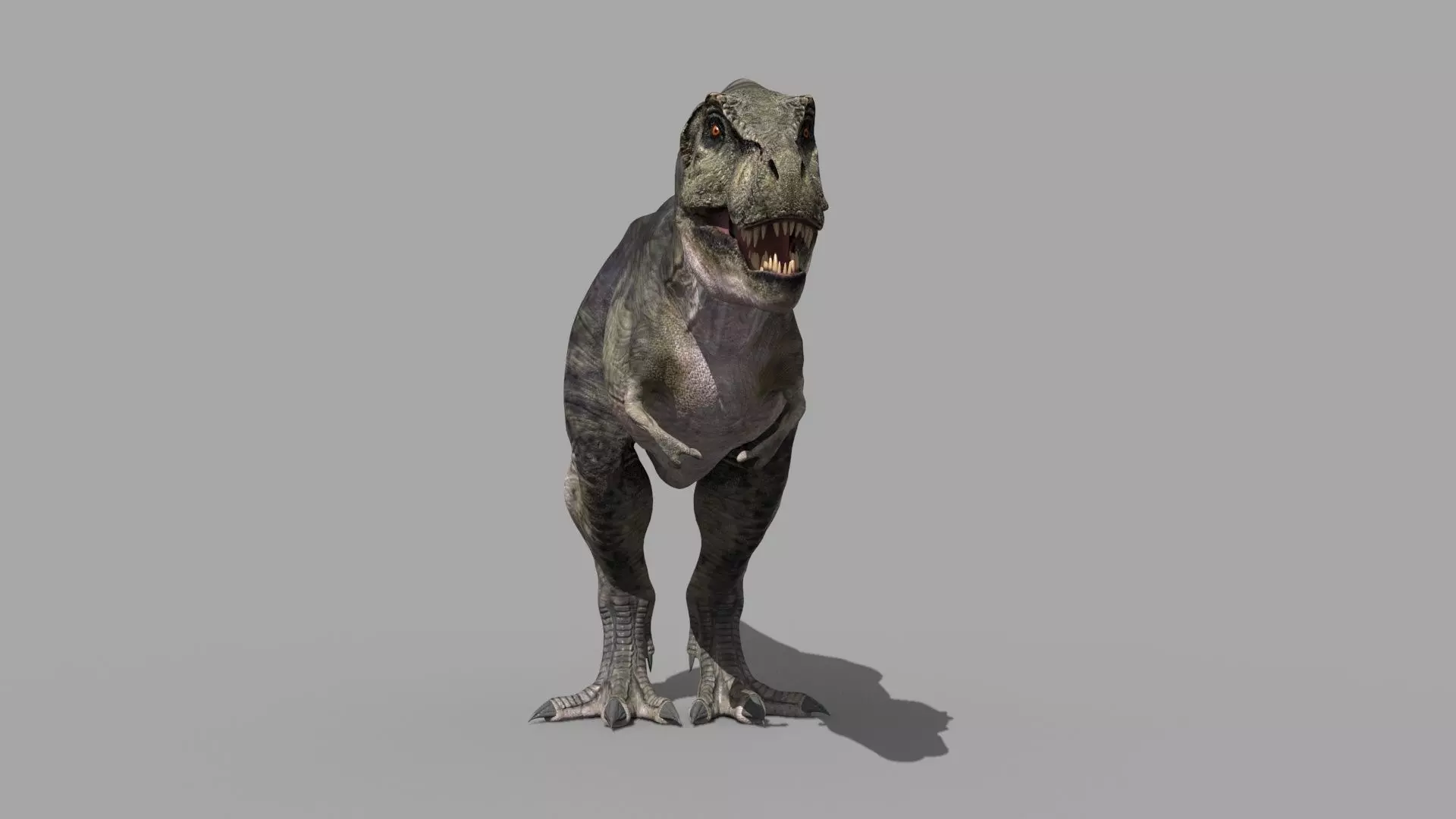 Accurate T Rex 8K - fully animated 3D model_0