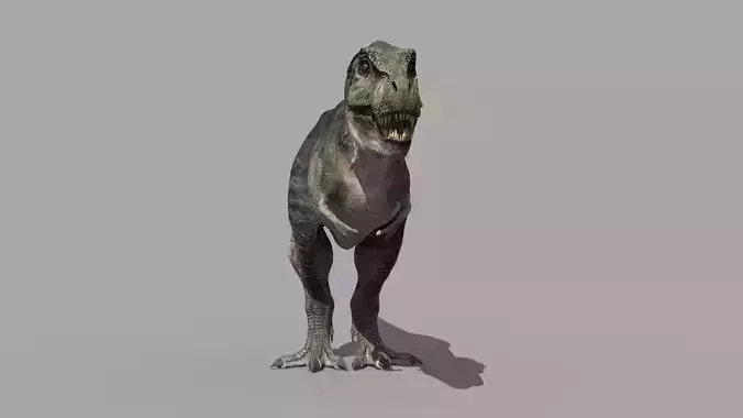 Accurate T Rex 8K - fully animated 3D model