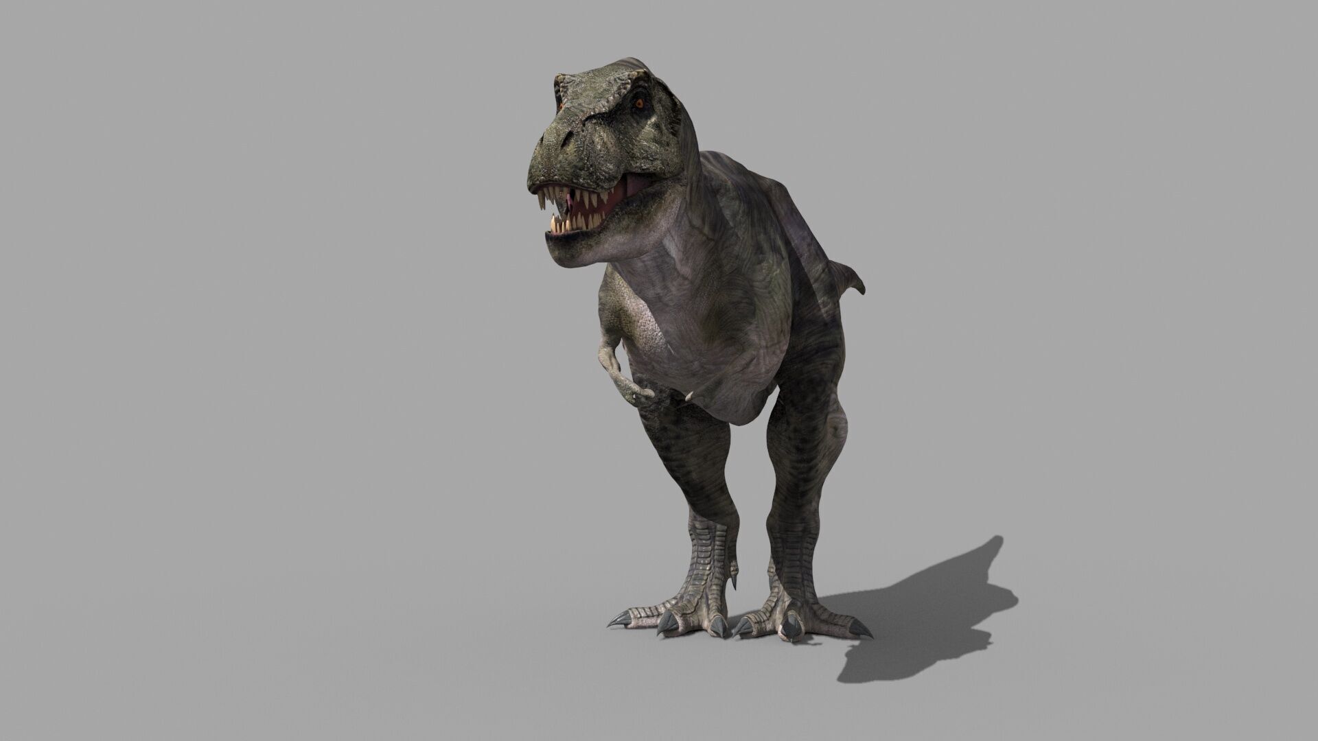Accurate T Rex 8K - fully animated 3D model_26