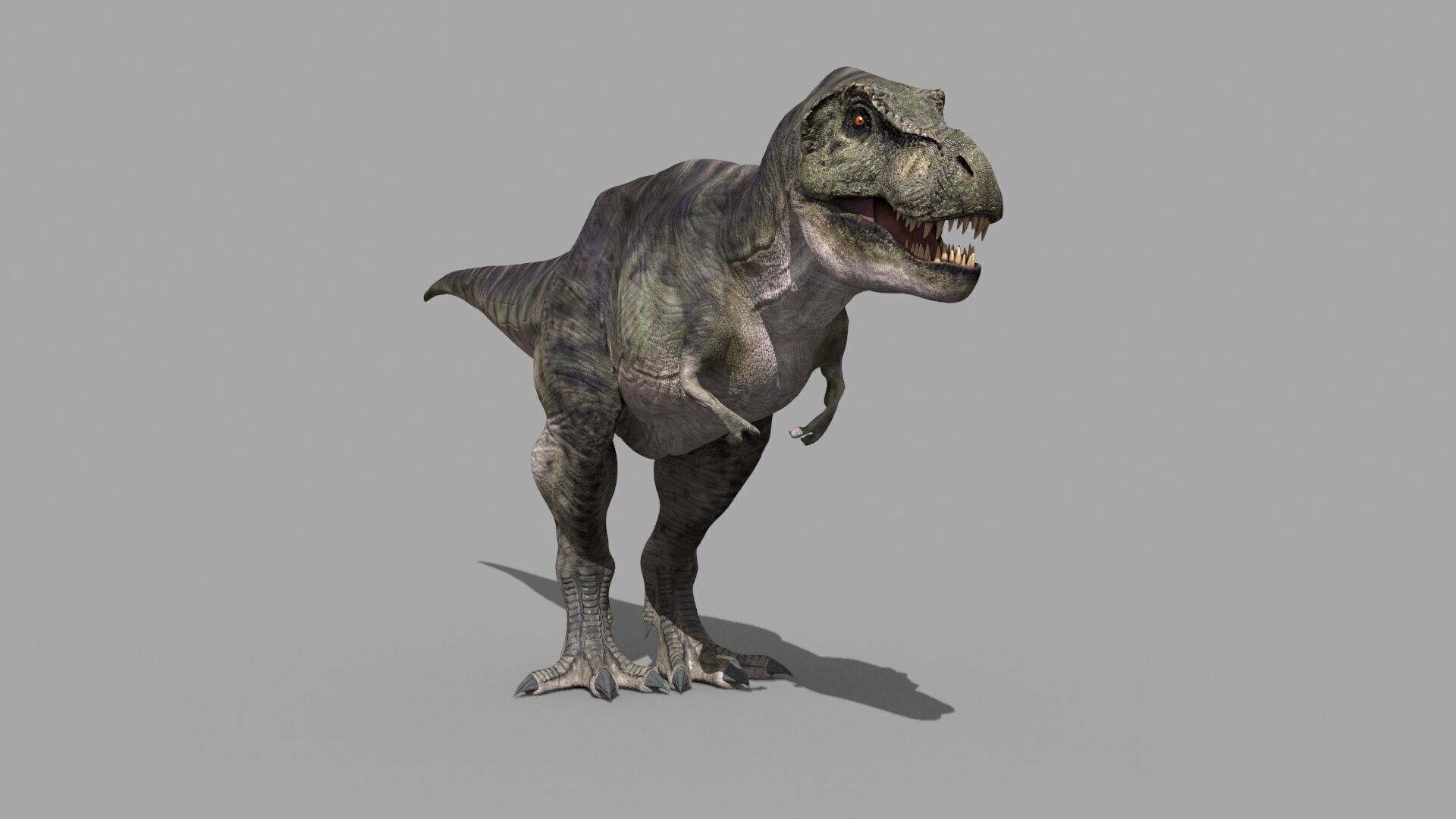 Accurate T Rex 8K - fully animated 3D model_25