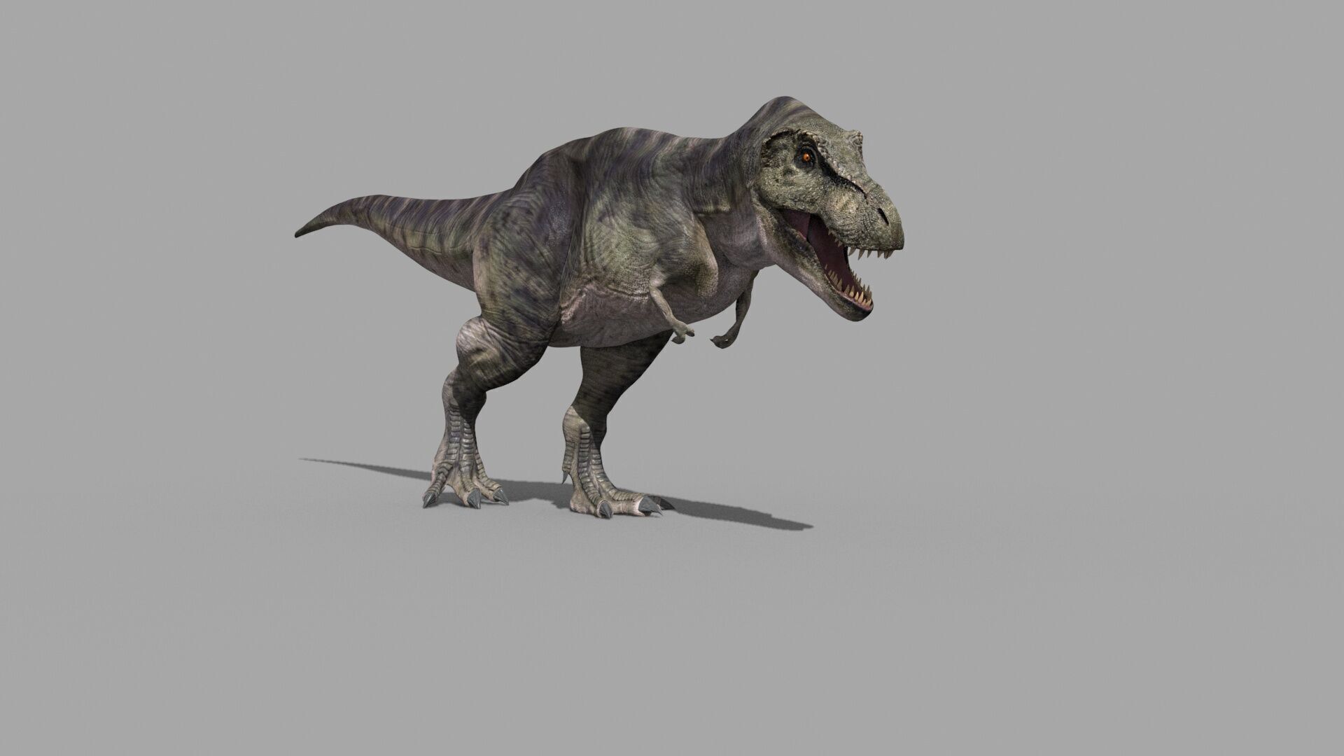Accurate T Rex 8K - fully animated 3D model_15
