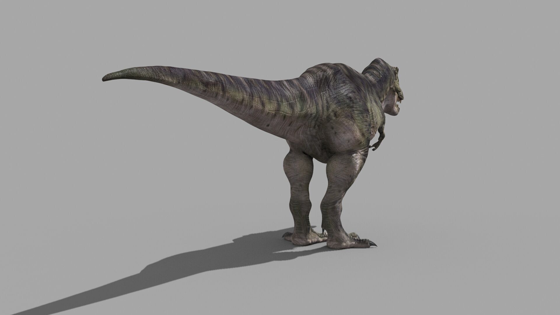 Accurate T Rex 8K - fully animated 3D model_27