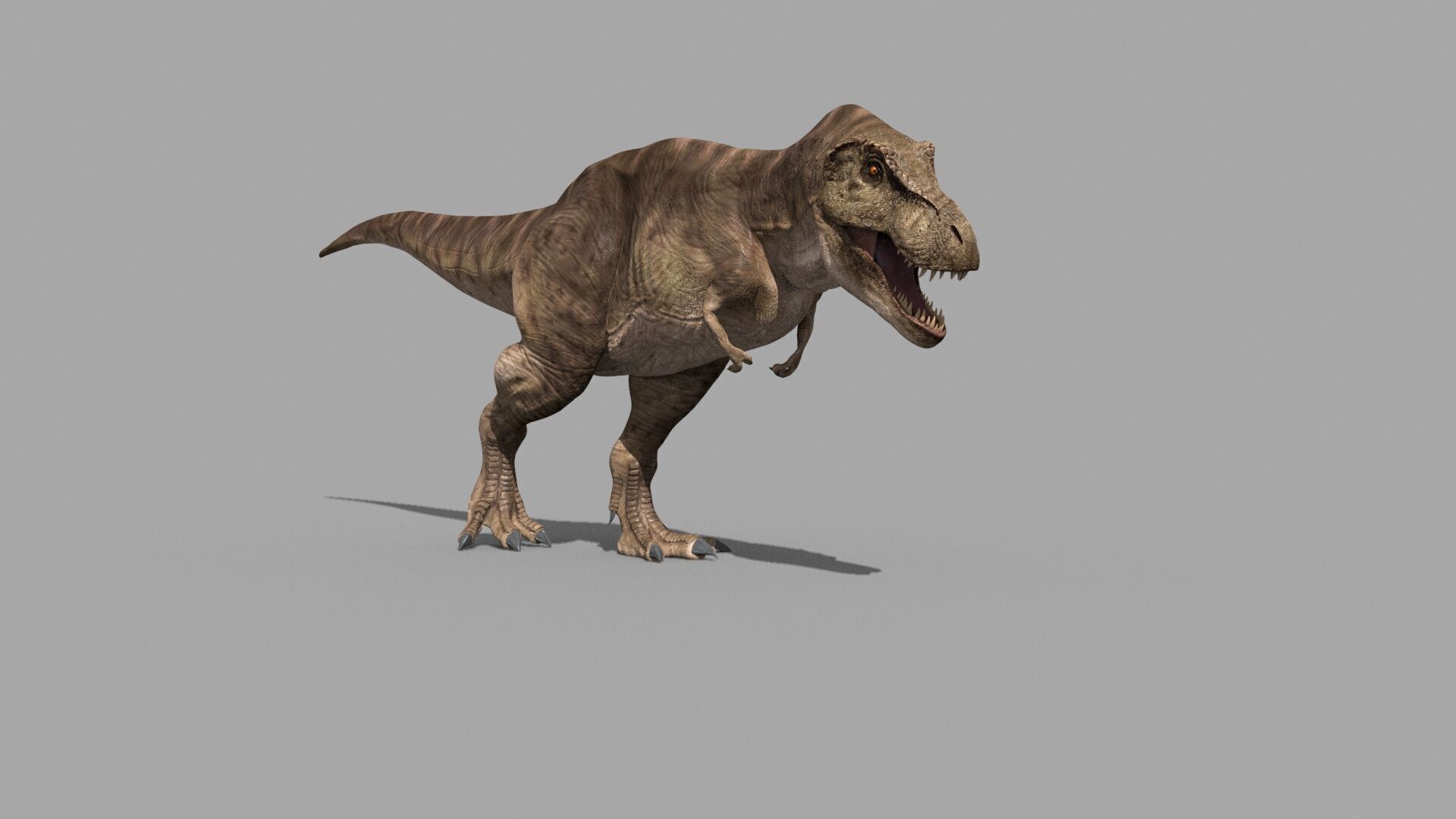 Accurate T Rex 8K - fully animated 3D model_14