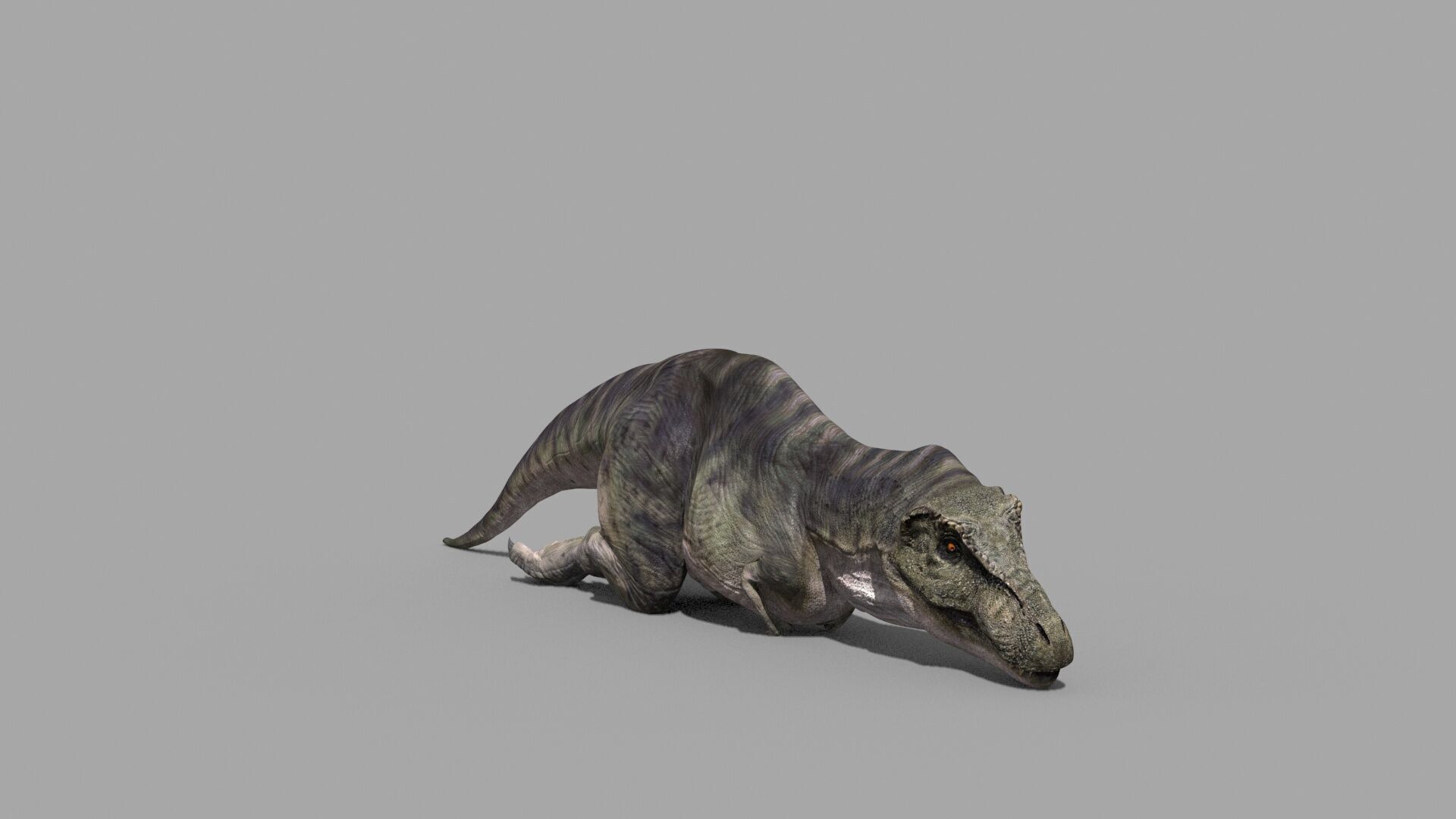Accurate T Rex 8K - fully animated 3D model_13