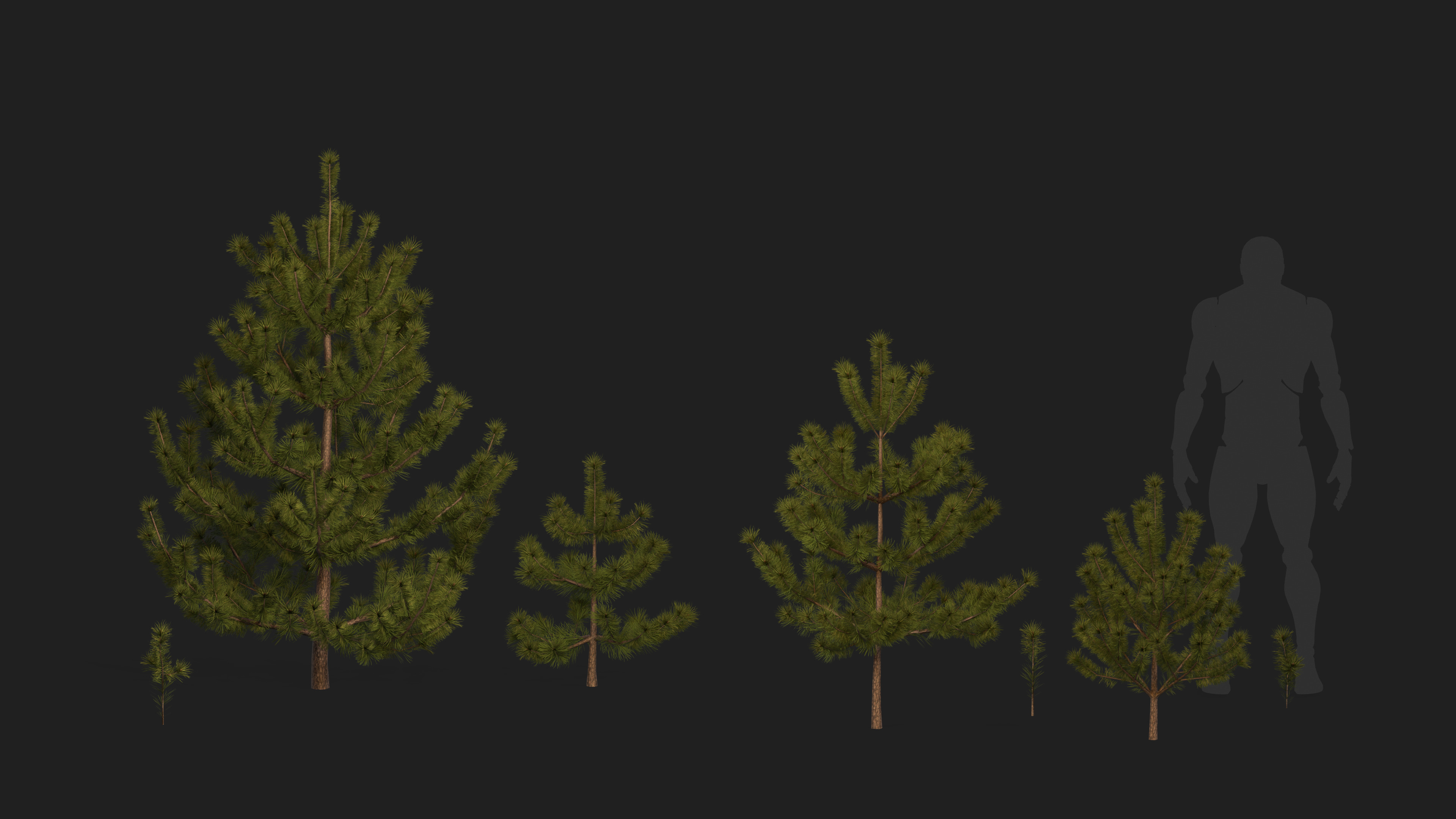 Pine tree Low-poly 3D model_2