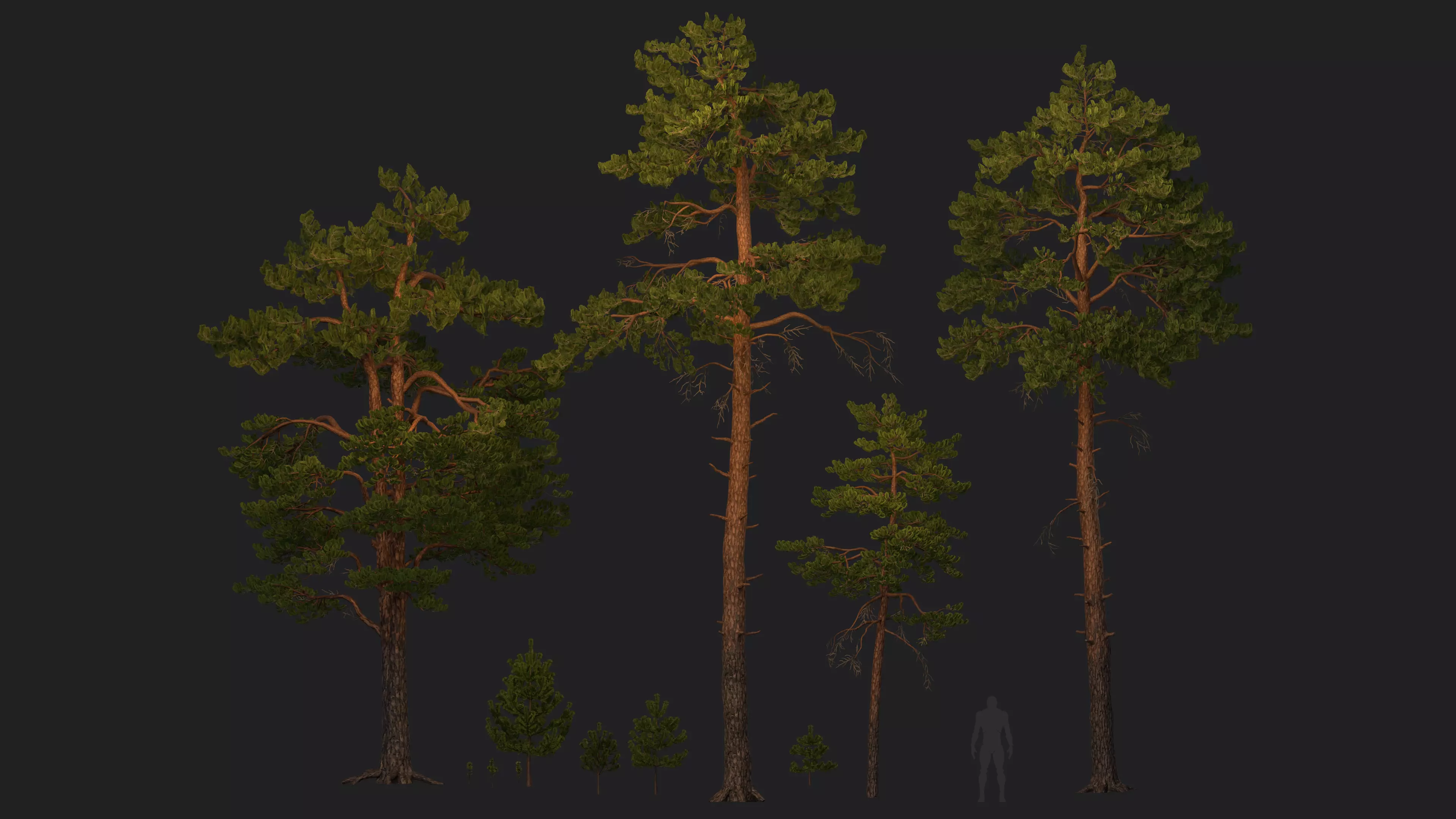 Pine tree Low-poly 3D model_0