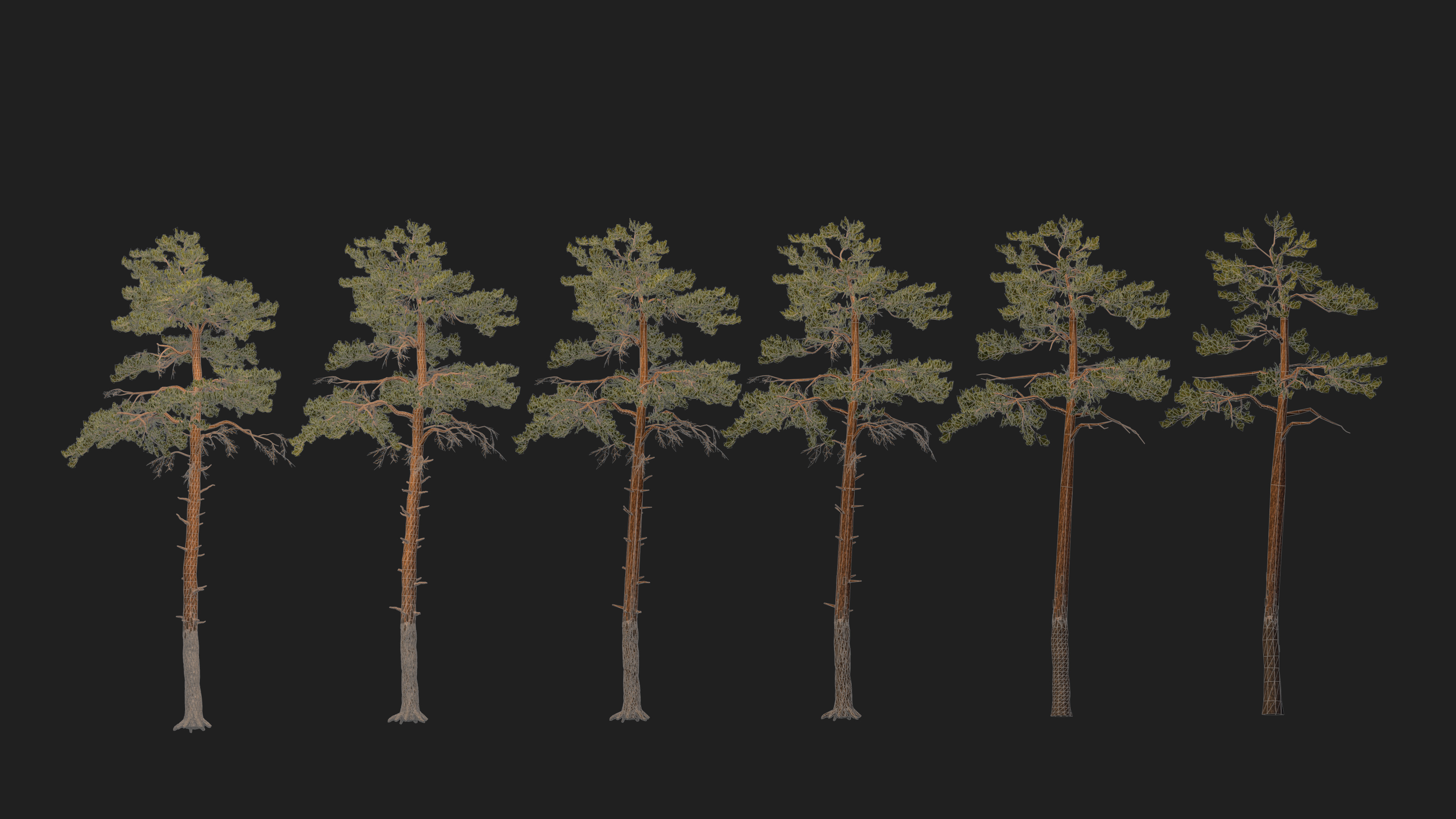 Pine tree Low-poly 3D model_1
