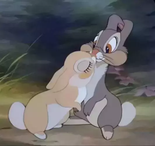 THUMPER KISS