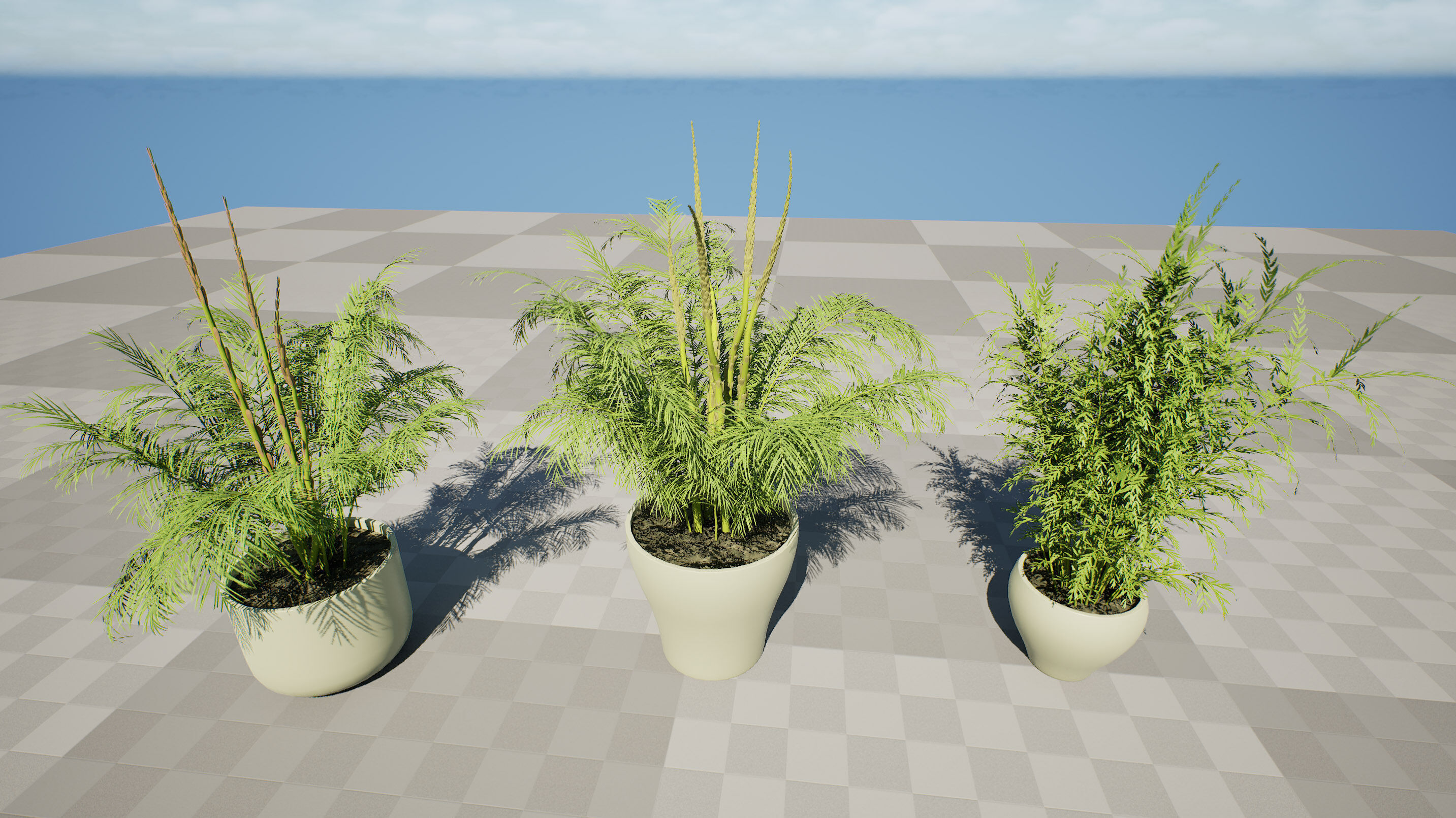 stem sprouts asparagus plant Low-poly 3D model_4
