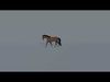3D Model for an Animated Brown Horse Low-poly 3D model_1