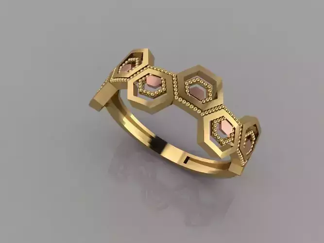 Ring model 