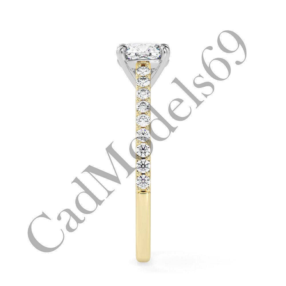 Ring02 3DM Print Model with 28 IMAGES and 7 VIDEOS 3D print model_19