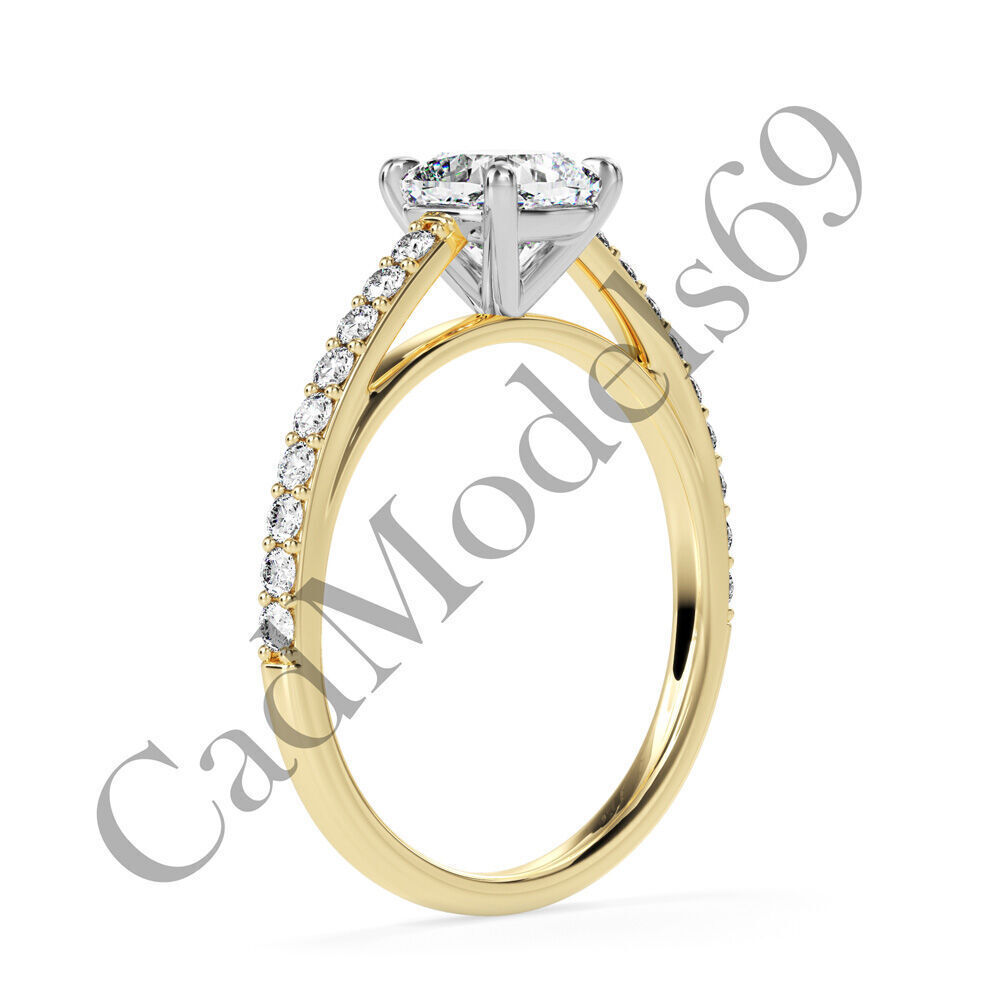 Ring02 3DM Print Model with 28 IMAGES and 7 VIDEOS 3D print model_17